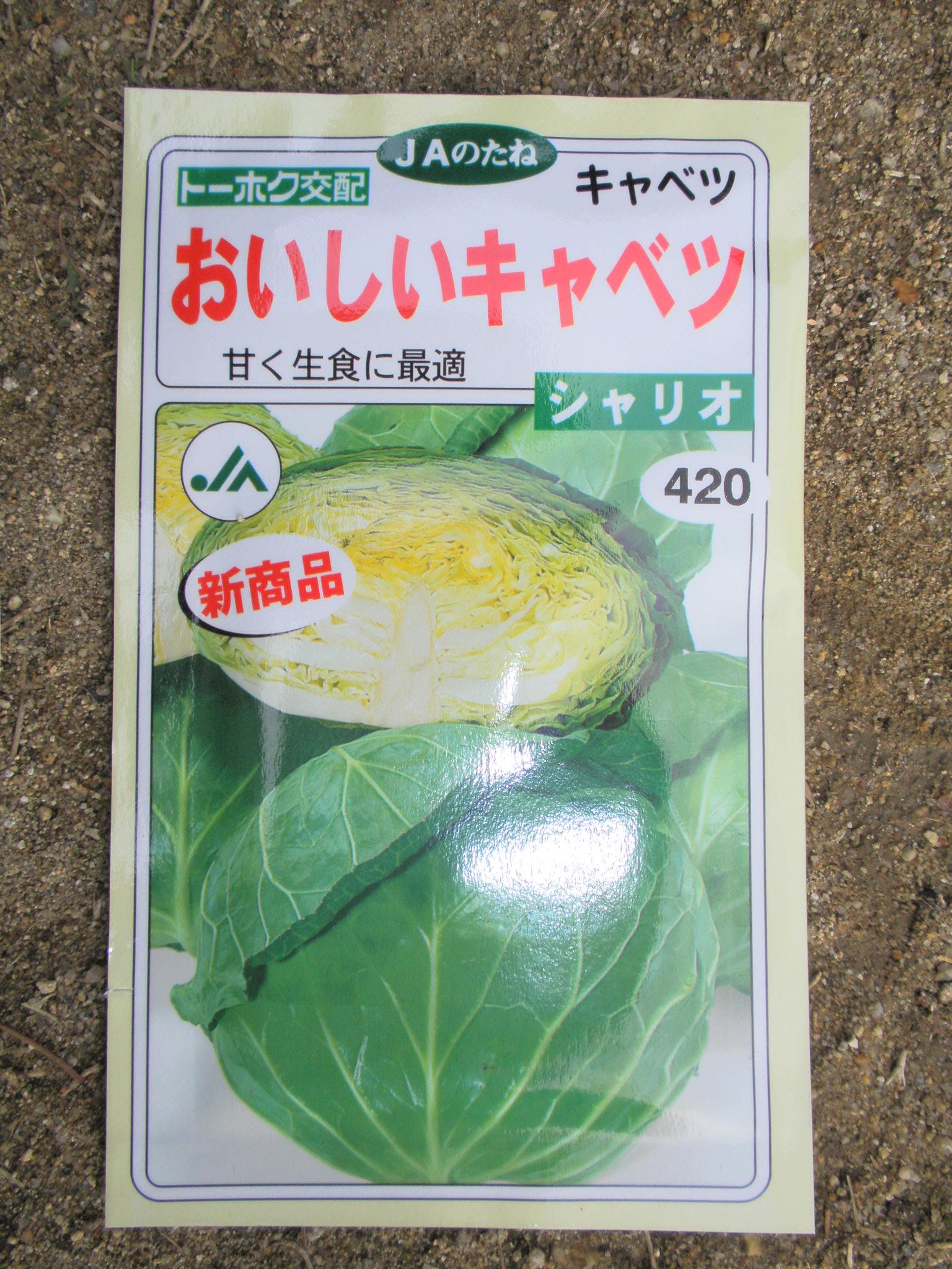 たのしくやろう自己流珍しい野菜 健康野菜づくりとガーデニング